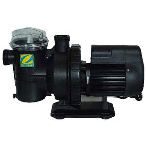 Zodiac Pool Pumps