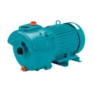 Onga Hi-Flo 18 Series Centrifugal Transfer Pump