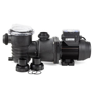 Poolrite Gemini Enduro - 1.0 HP - 2 Speed Energy Efficient Pool Pump 